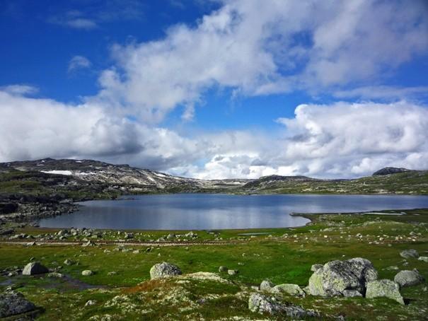 Rallarvegen 2010