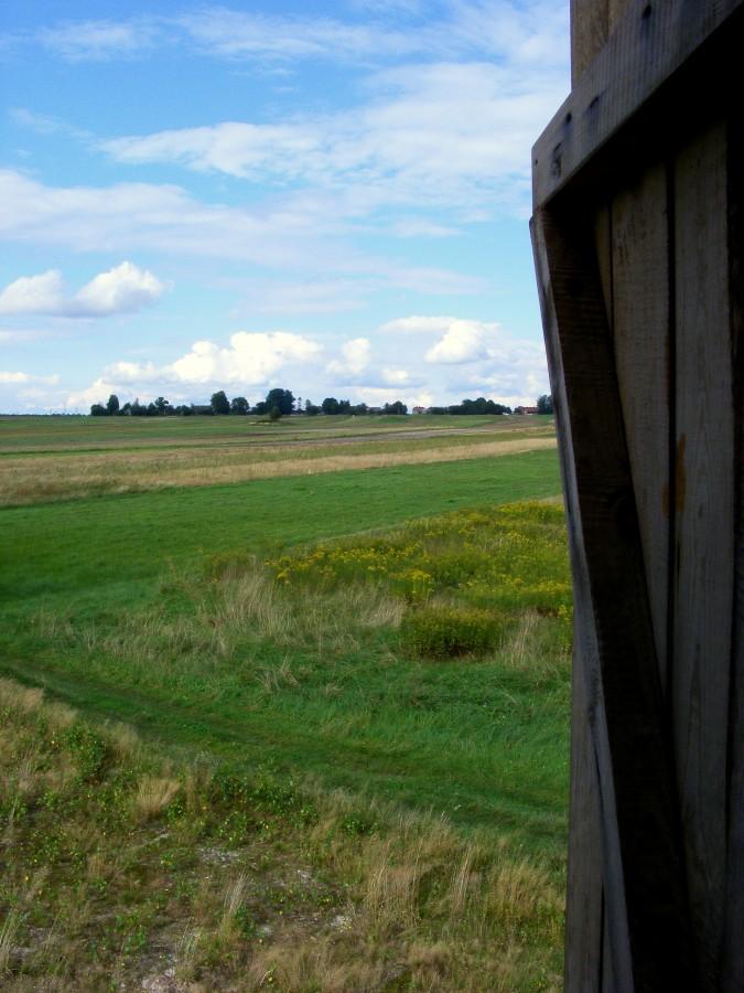 Widok z budki przez drzwi