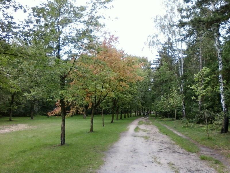 Początki jesieni w parku