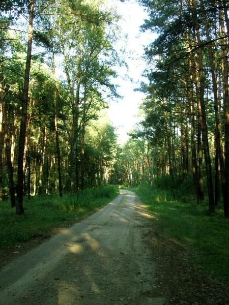 szlak sw jakuba po wyjezdzie ze Zlotorii