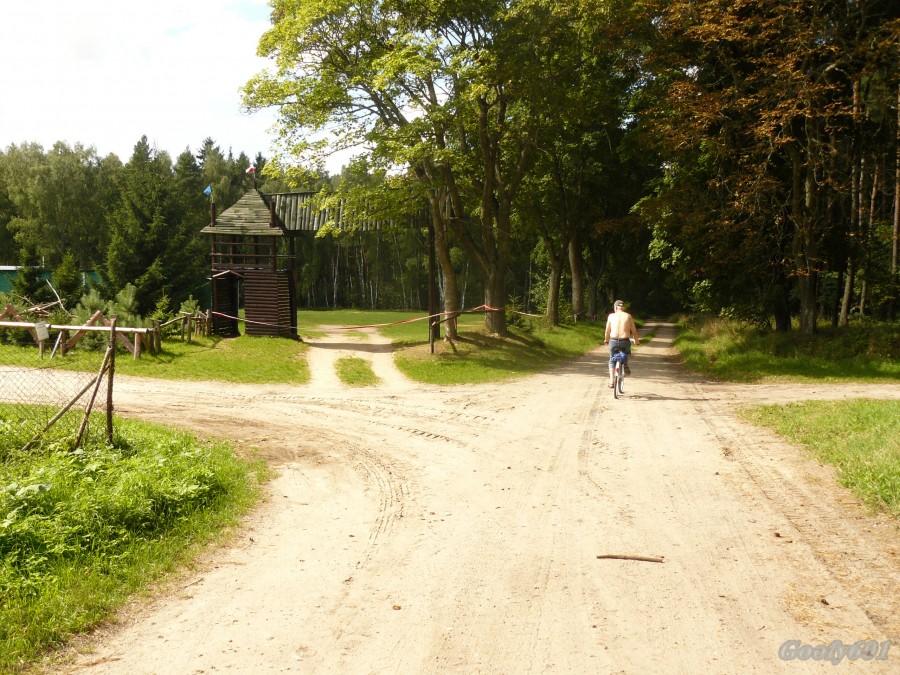 Leśna trasa rowerowa