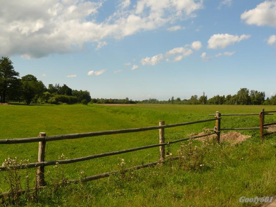 Kaszubskie łąki
