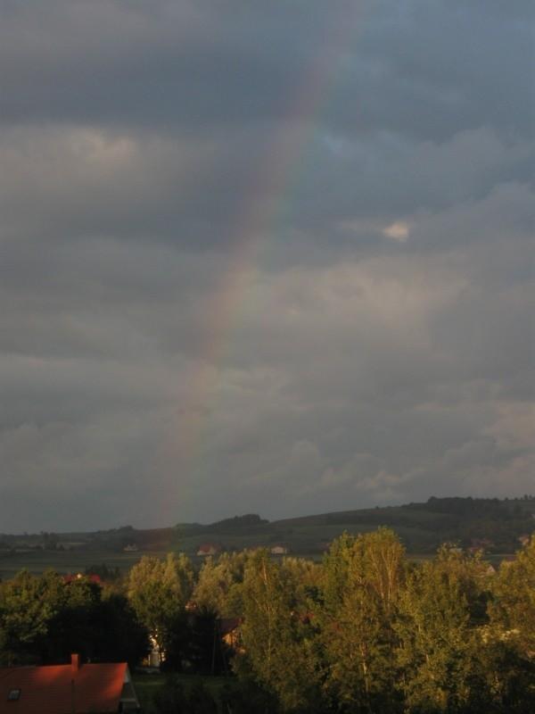 Słońce+deszcz=
