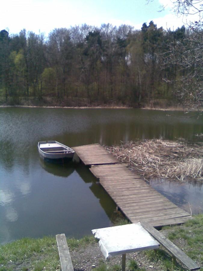 Staw 17.04.2010