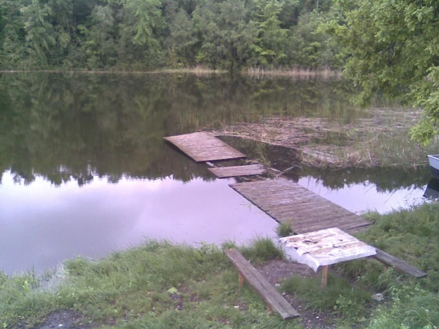 Staw 19.05.2010
