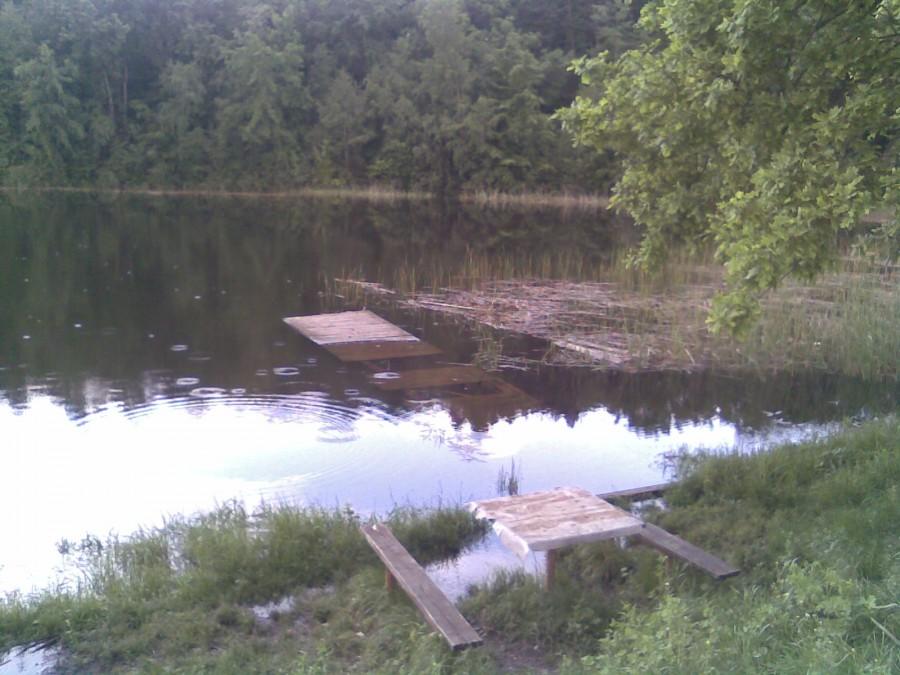 Staw 25.05.2010