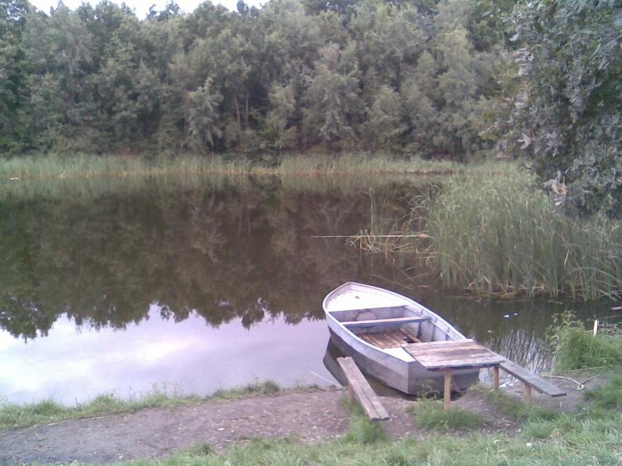 Staw 02.09.2010