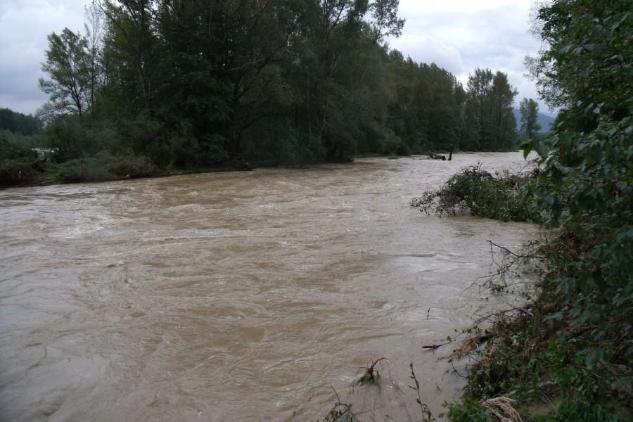 Nowe, stare koryto Soły