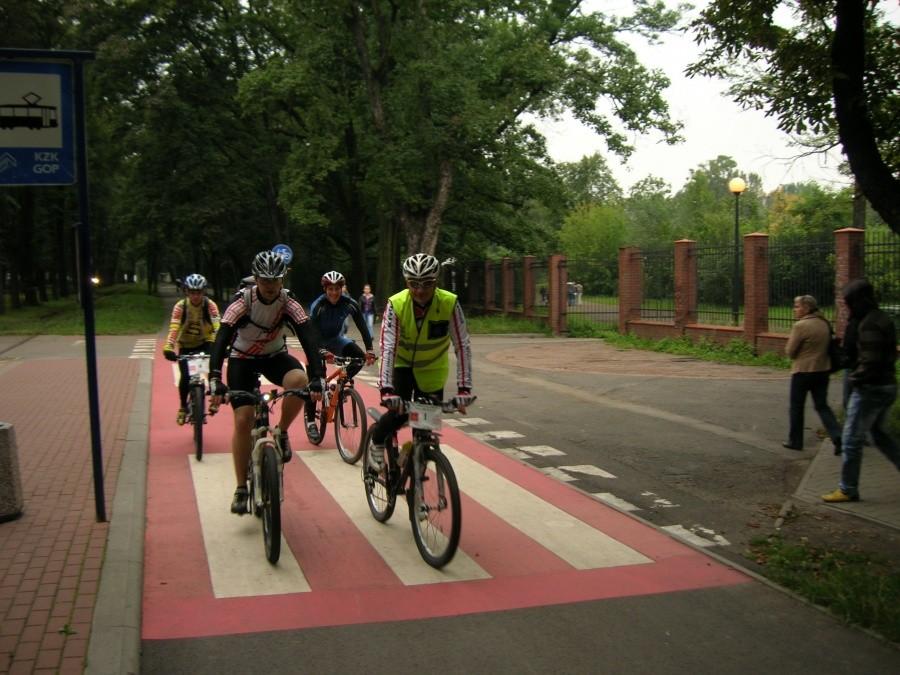 rowerzyści na drodze rowerowej
