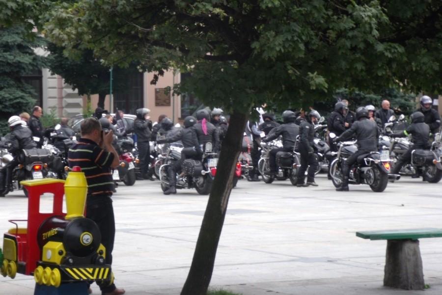 Kto żyw foci, chyba wszyscy mają aparaty