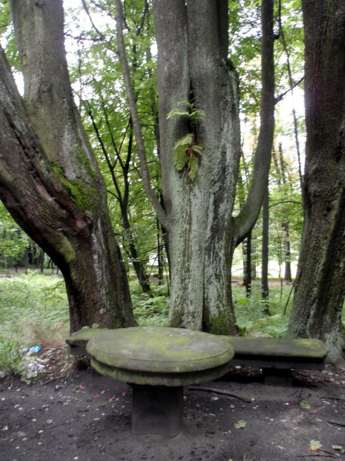 Kamienny stół i ława. Młoszowa