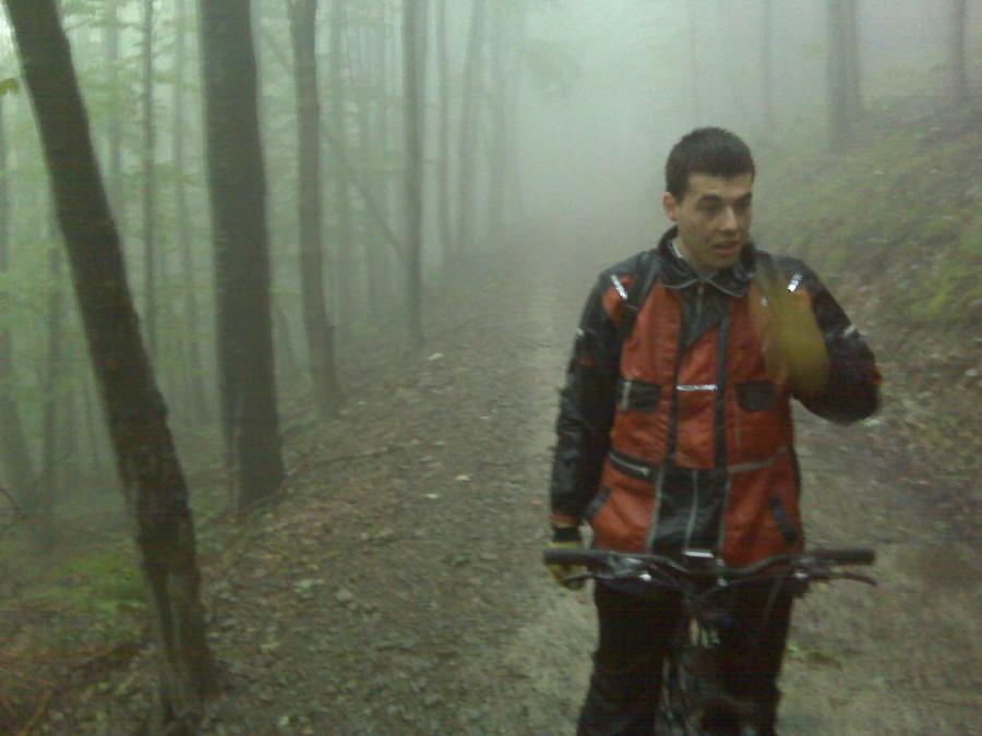Dawid
