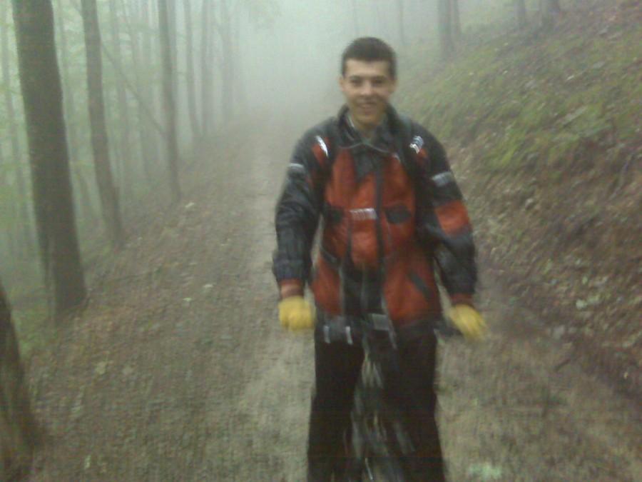 Dawid