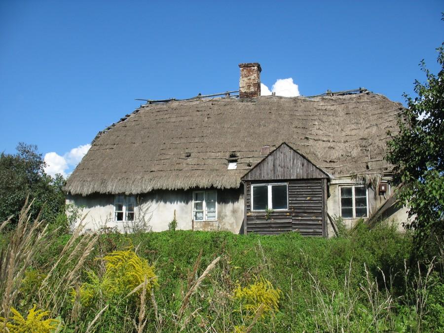 Łęg - młynarzówka