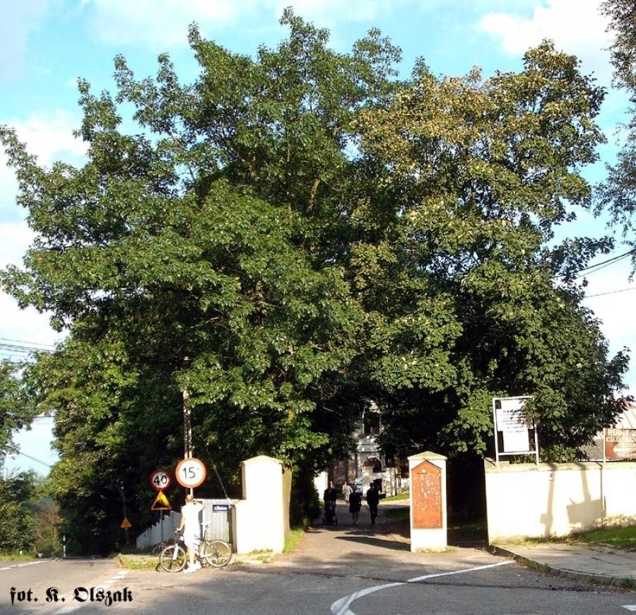 Czersk