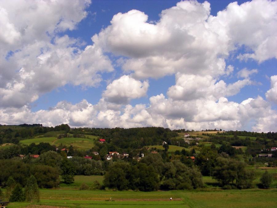 Widok gdzieś w Babicy