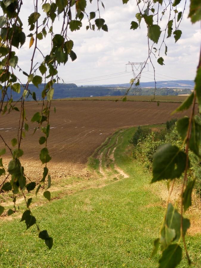 Tą drogą przyjechałem