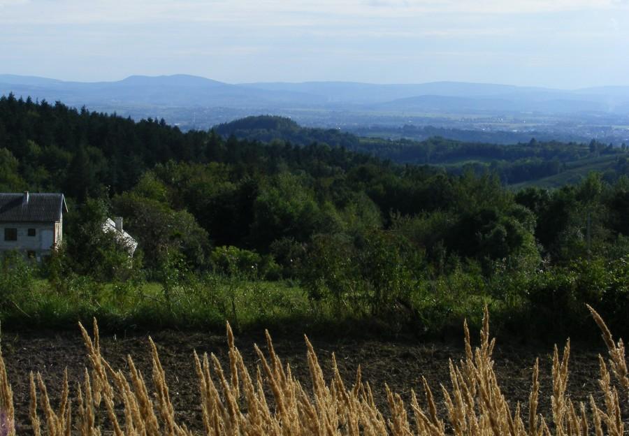 Widok niedaleko zamku- w oddali po lewej góra Cergowa- to już Beskid Niski