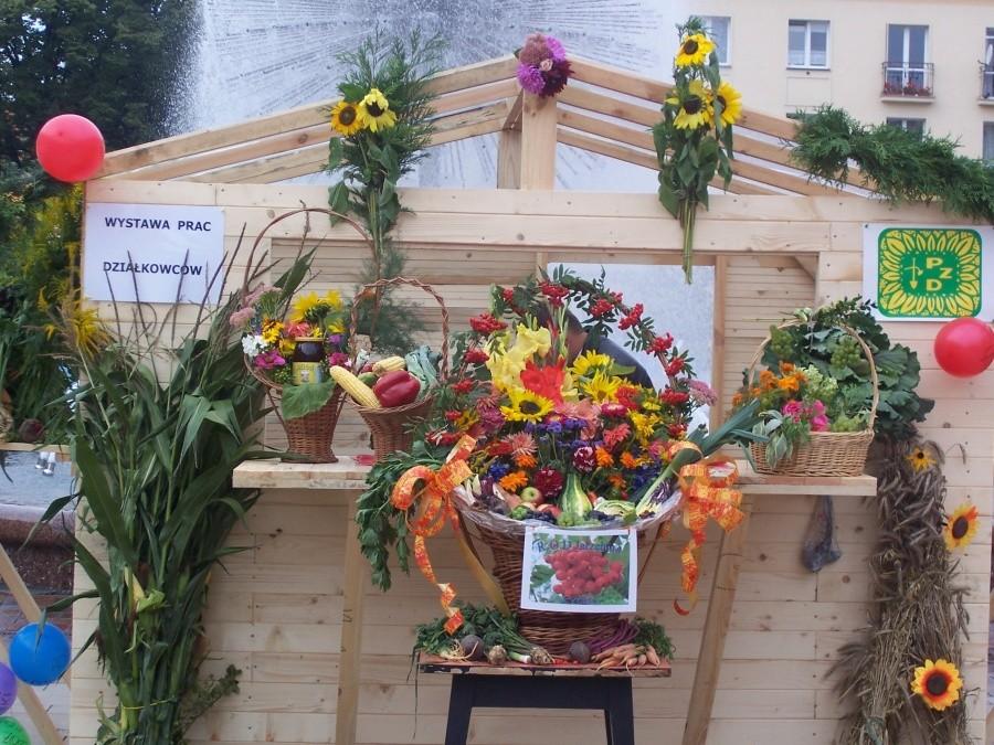 wystawa plonów działkowców