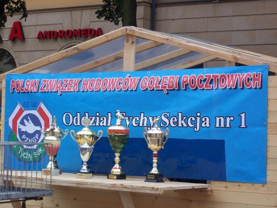 nagrody dla gołębie pocztowych