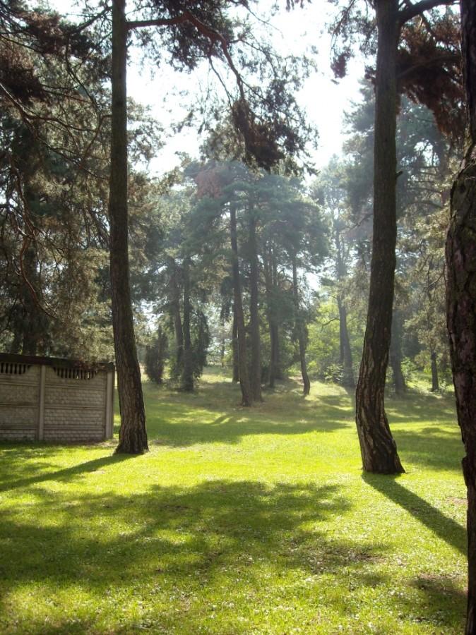 Wilgotność aż wisiała w powietrzu.