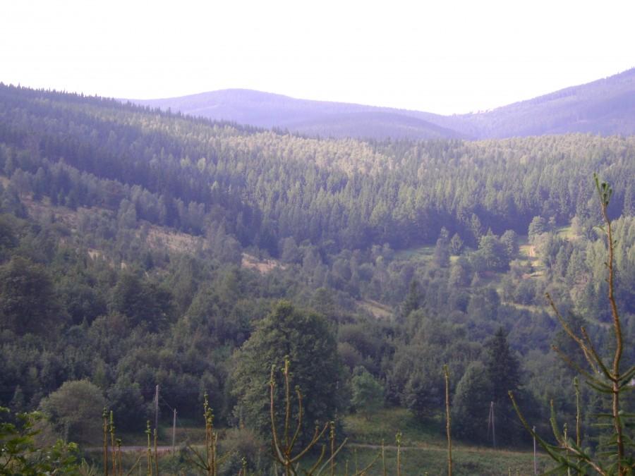 Widoki z trasy
