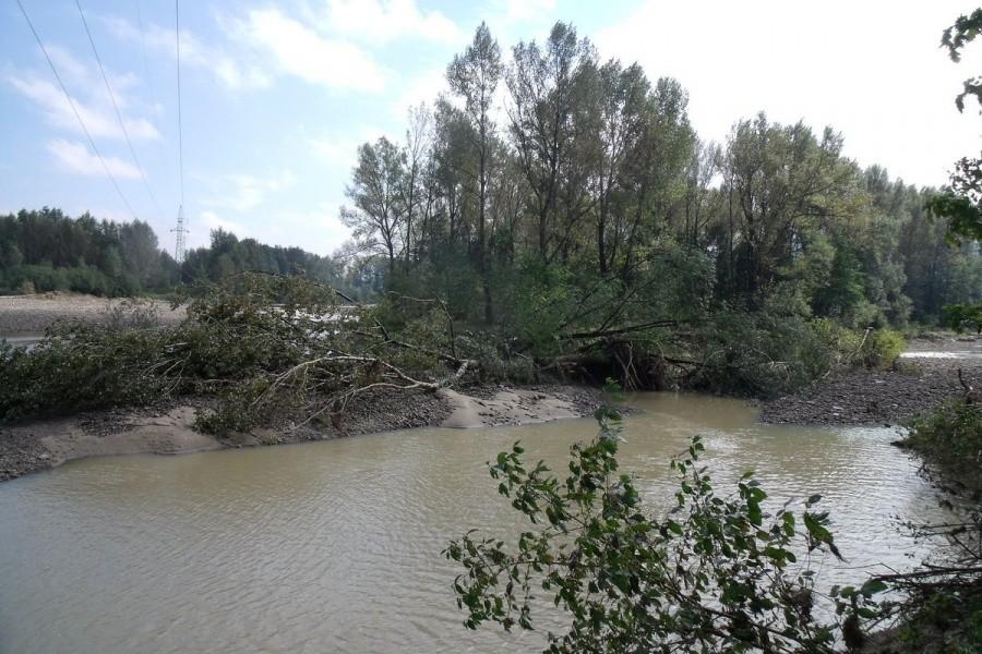 Powalony las nad Sołą