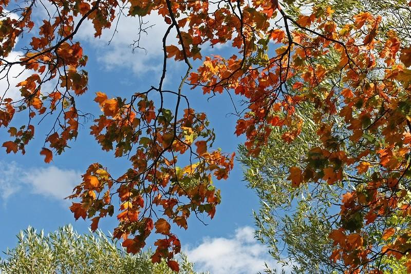 Evidence of autumn
