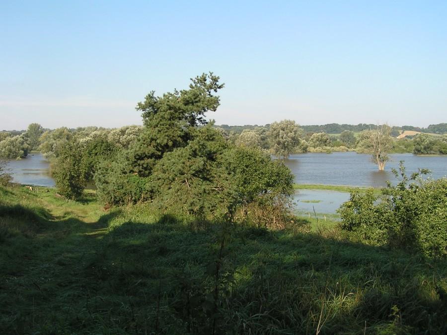 Tereny zalewowe [Słończ]