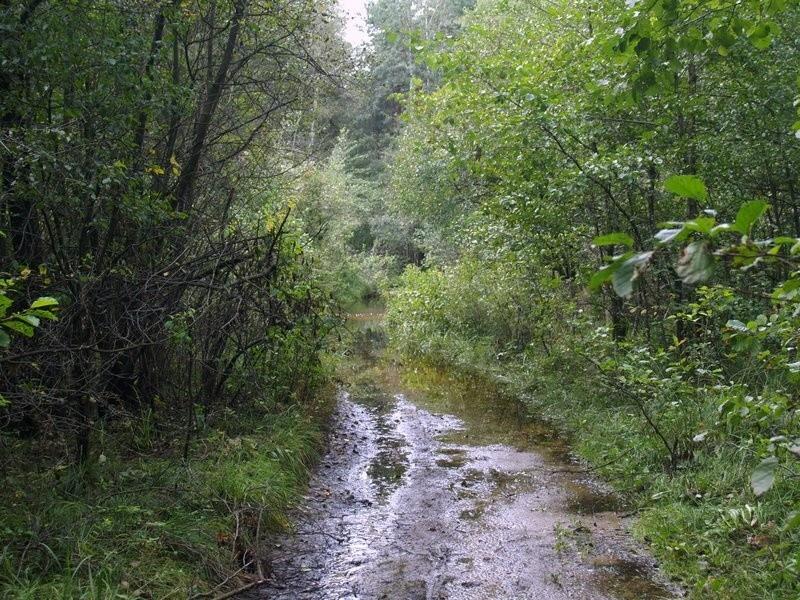 Niespodzianka