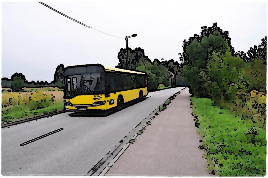 Solrka w Borkach