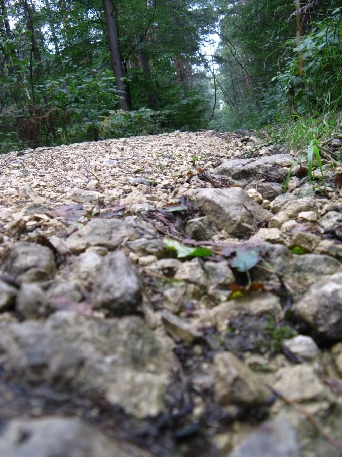 Trasa rowerowa :)