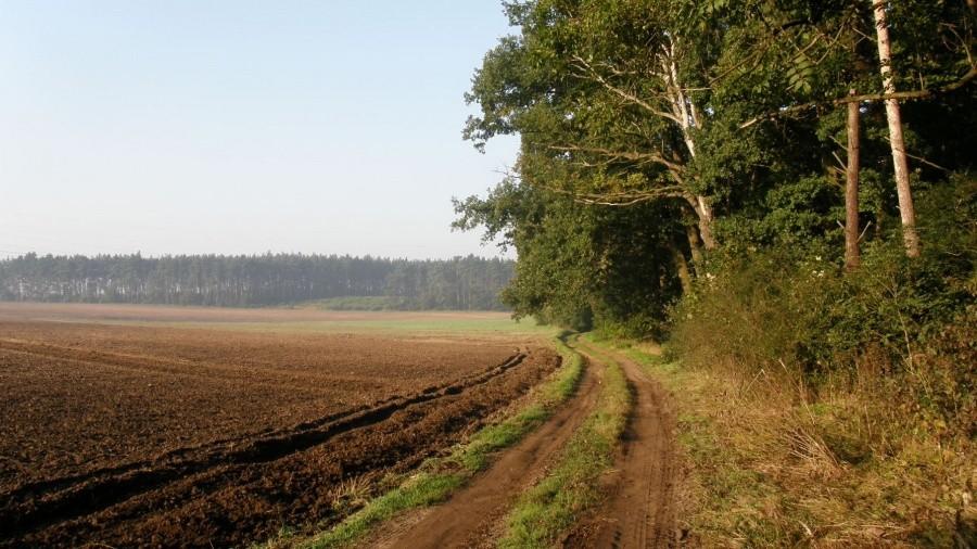 Rankiem na trasie Pierścienia