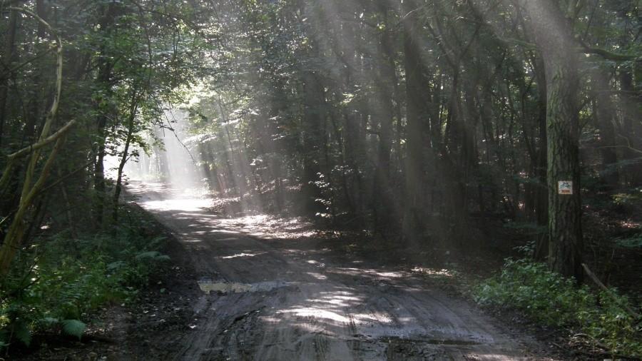 Słoneczne smugi w WPN :)