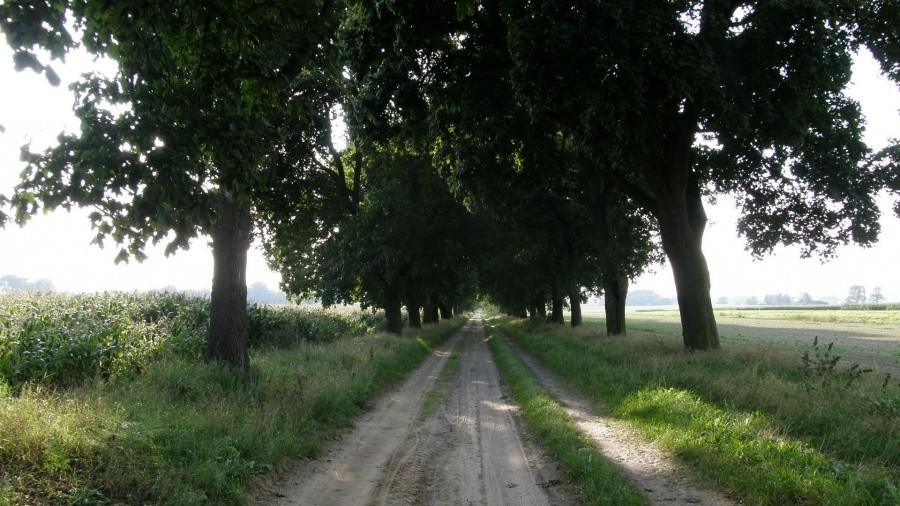 Przyjemnie w drodze do Kiekrza