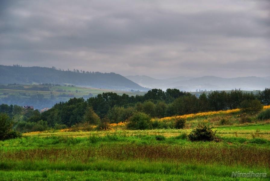 a mnie się podoba ten