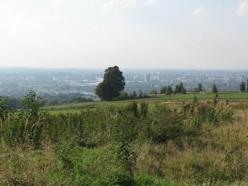 Widok na Rzeszów z Matysówki.