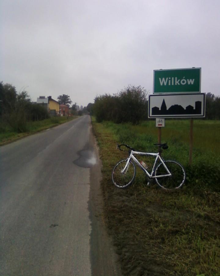 W Wilkowie