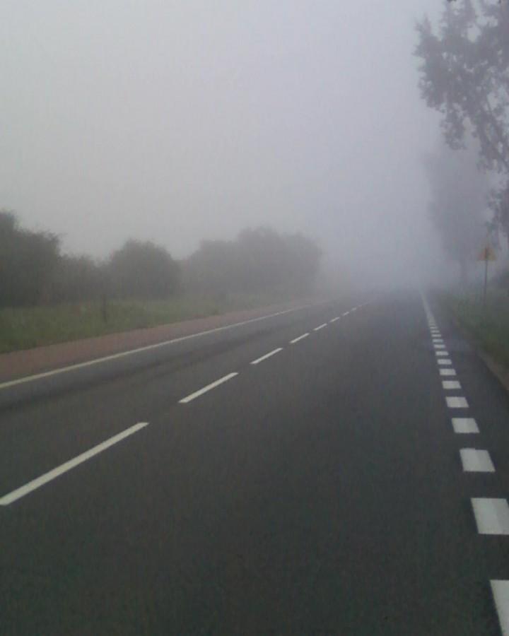 Mglista droga w kierunku Dęblina