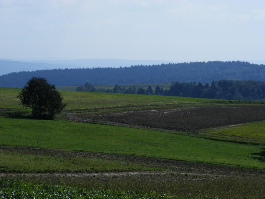 Widok z serpentyn w Dylągówce