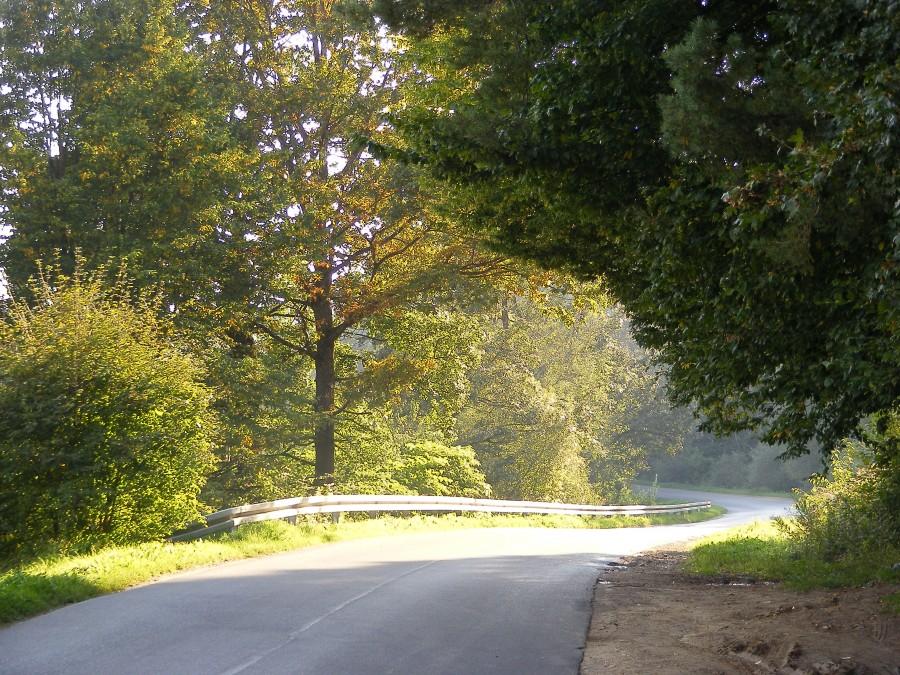 Słońce chowające się za górką fajnie oświetlało drogę z pomiędzy drzew:)