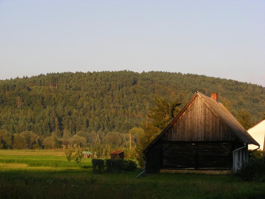 Taki tam widoczek przy drodze:)