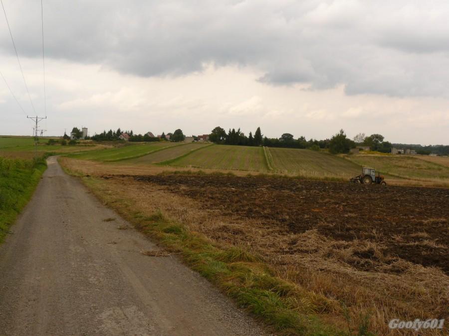 Polami w stronę Wilkowic