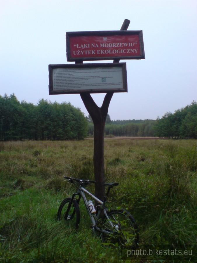 Trucizna na pastwisku