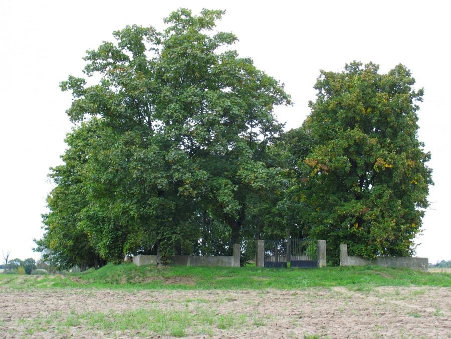 Pęcice - cmentarz wojenny z 1914 r.