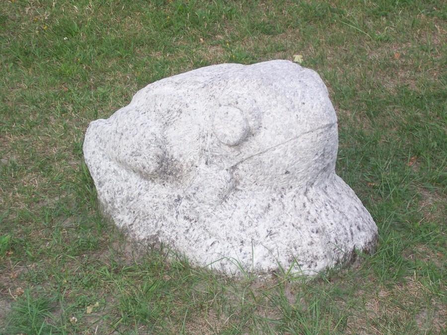 kamienna żabka