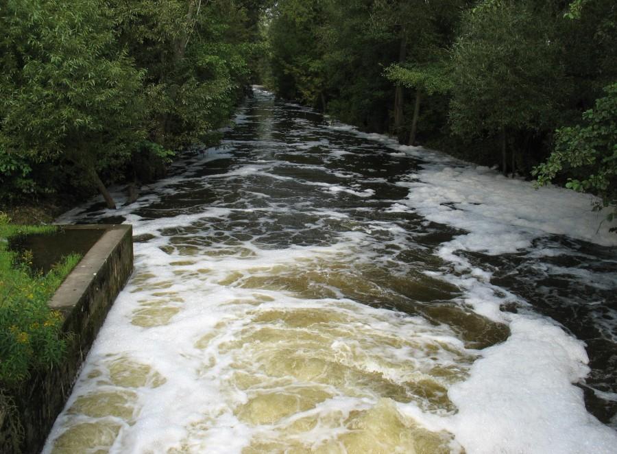 Jeziorka
