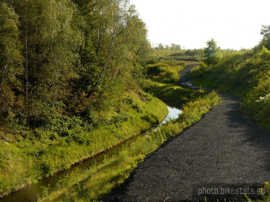 Ścieżka nad rowem miechowickim
