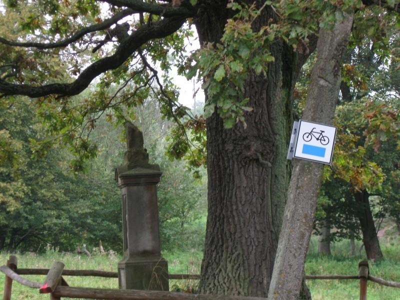 Szlak koło Radocyny.