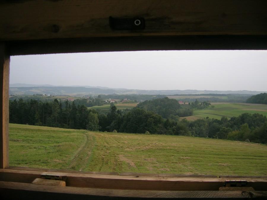 Jeden z widoków.